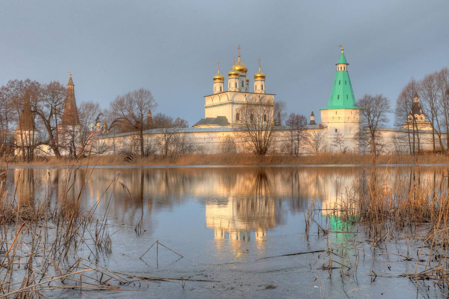 , Добролюбова Тамара