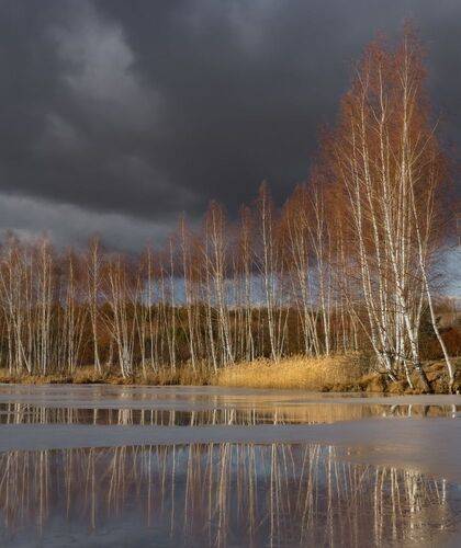 Пригревает. Март.