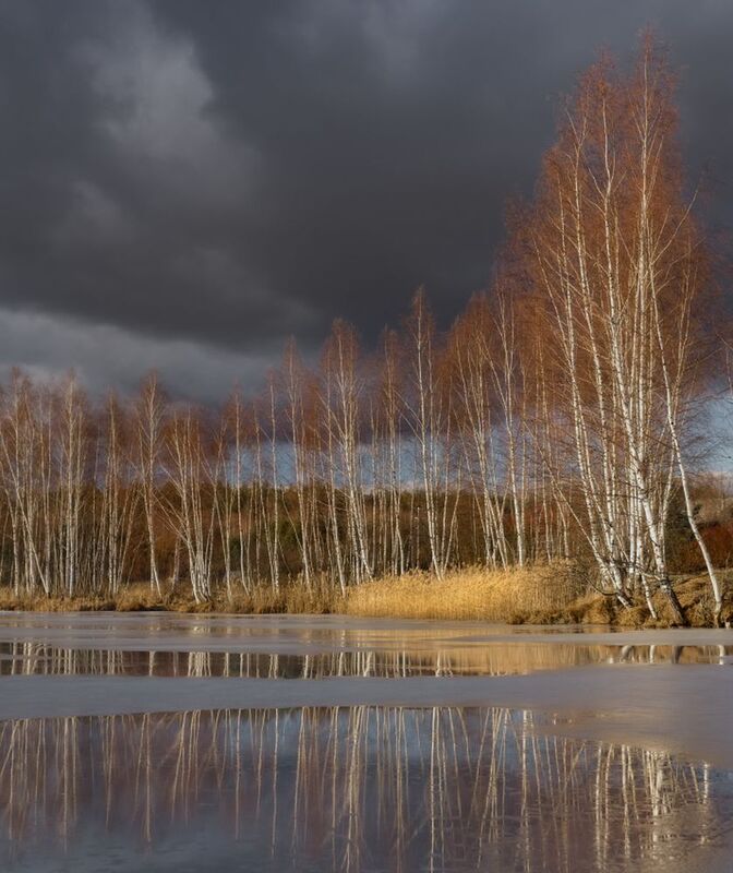 март весна лёд отражение деревня серково Пригревает. Март. фото превью
