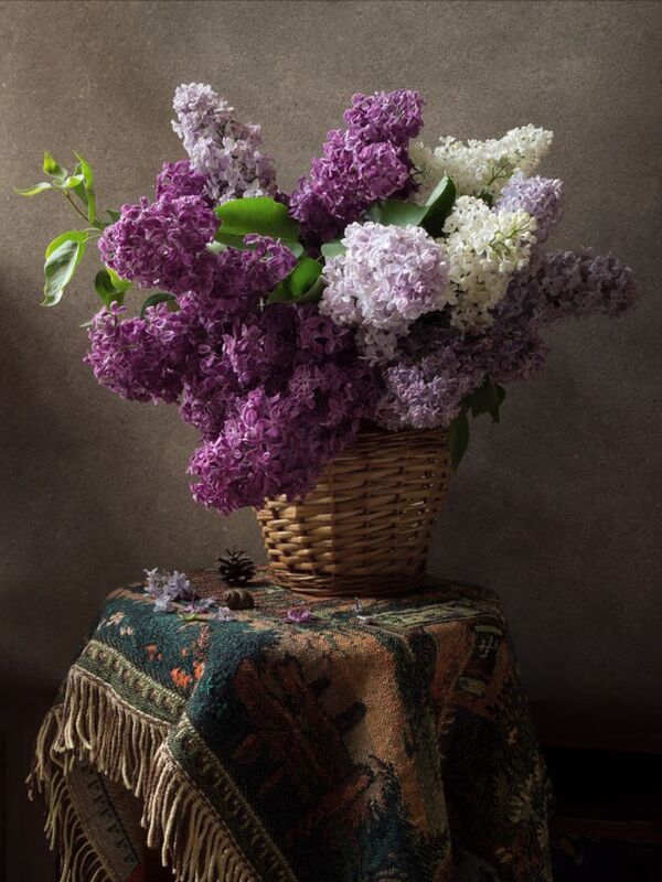 Все равно наступит май... фото превью