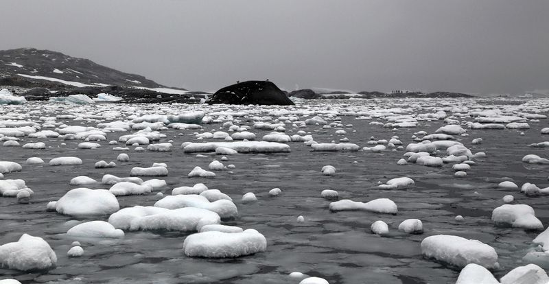 BW World фото превью