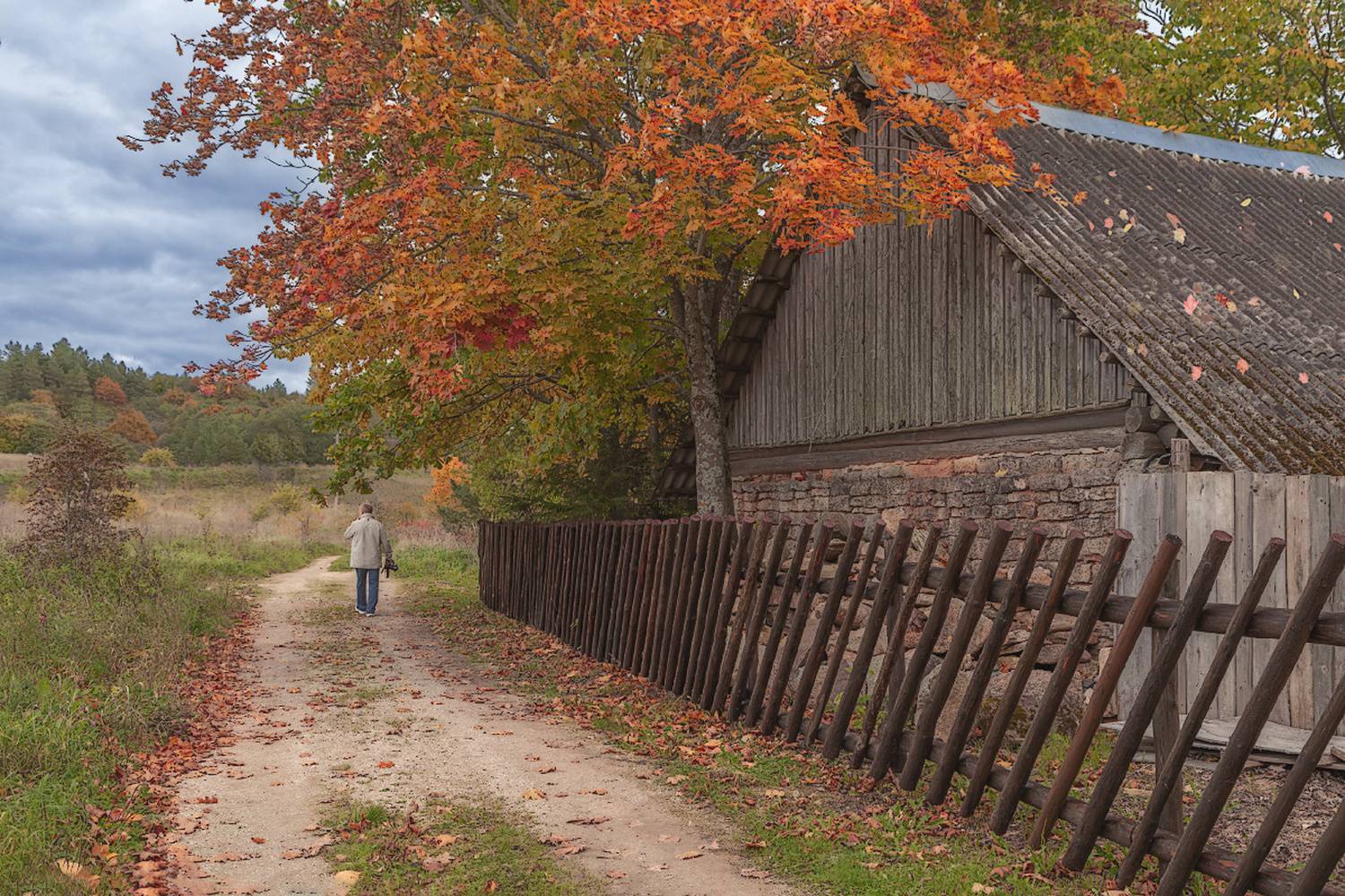 природа, небо, осень, Liliya Semenova