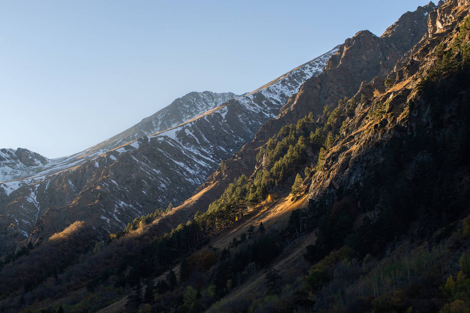 , Перевозчиков Андрей