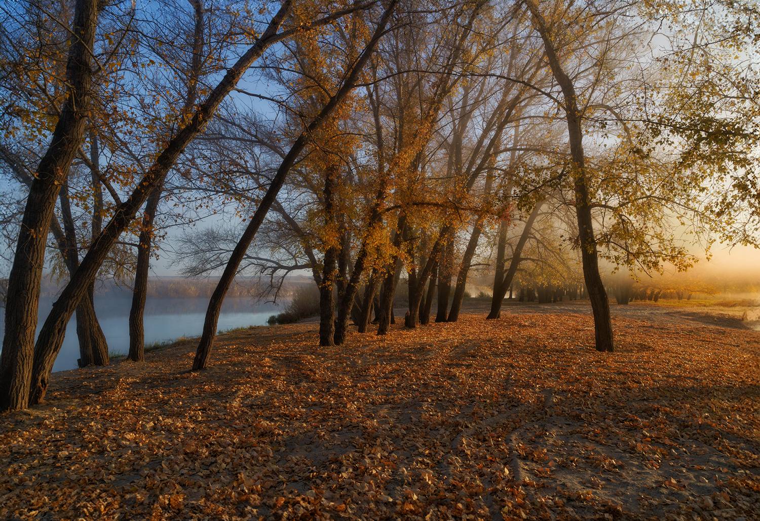 Россия,пейзаж,туман, утро, Тобол, река, осень, Лариса Дука