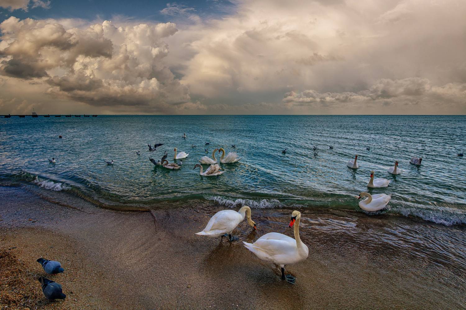 , Владимир Гамаюнов