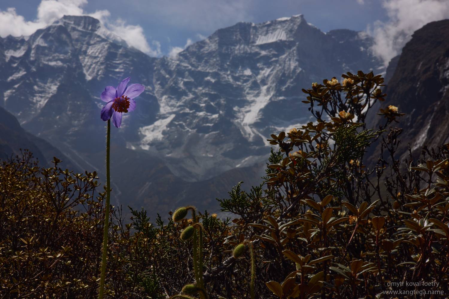 , Коваль Дмитр