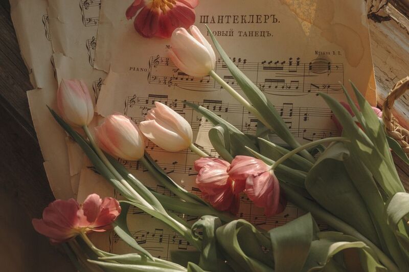 Шантеклер фото превью