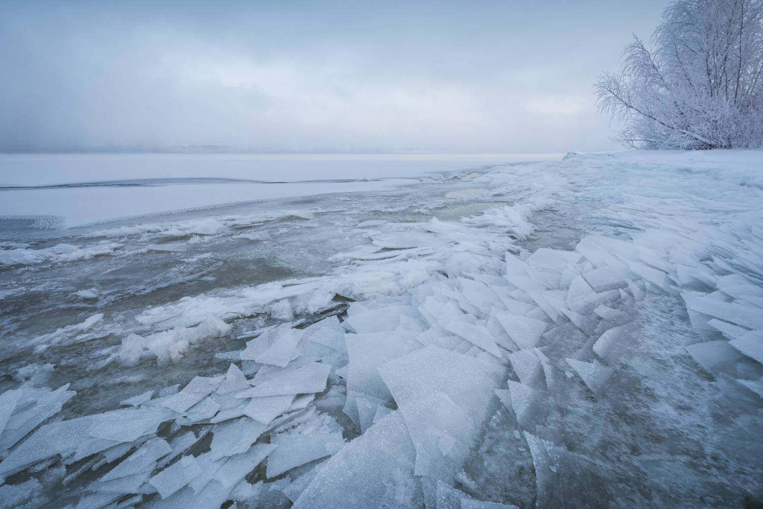 , Алексей Проняхин
