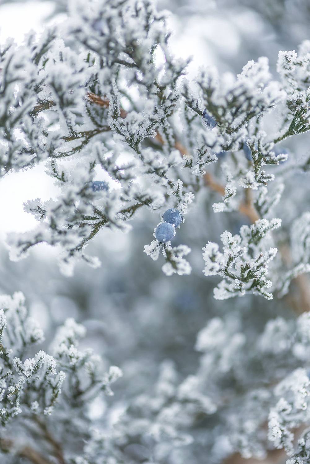 , Наиля Гарифуллина