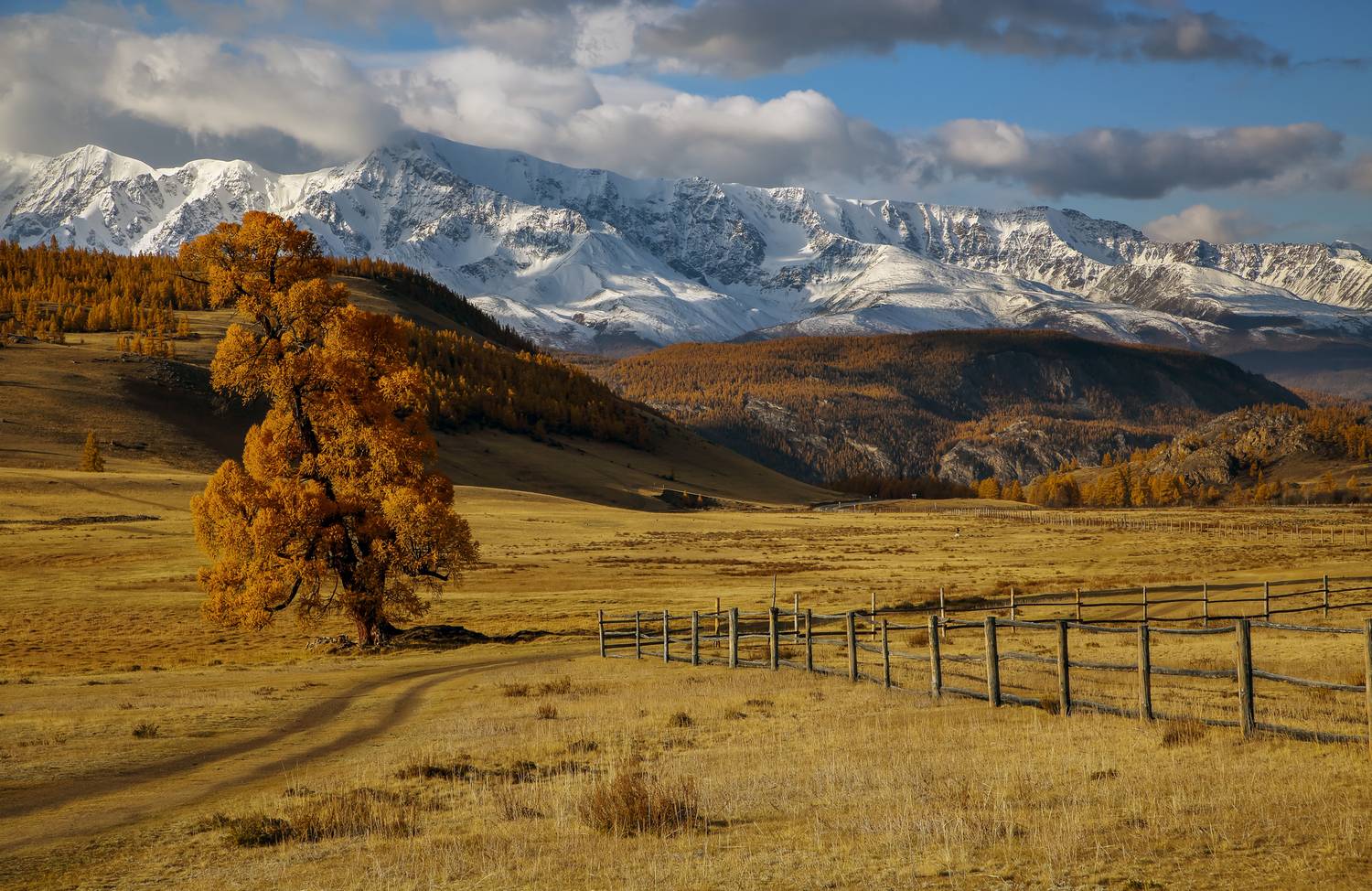 осень горы пейзаж, Мурзинов Виктор