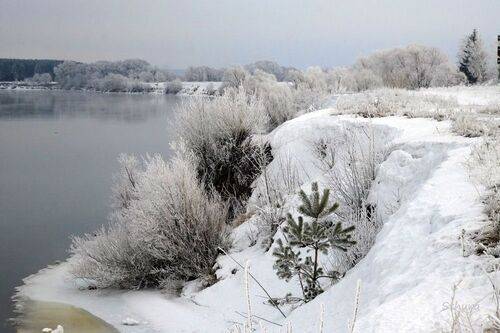На берегу Оки.