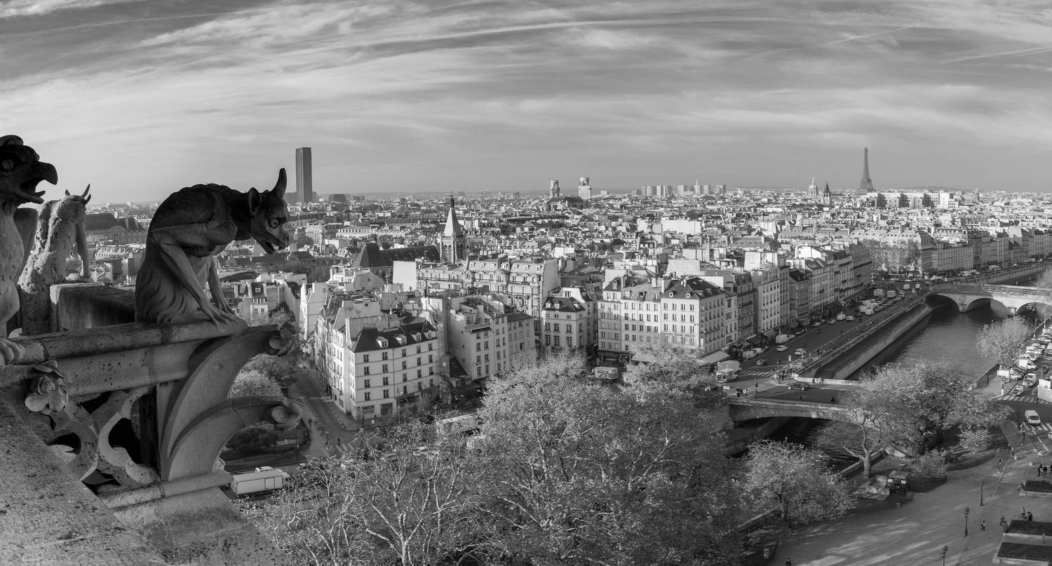 нотр-дам, париж, Сулоев Алексей