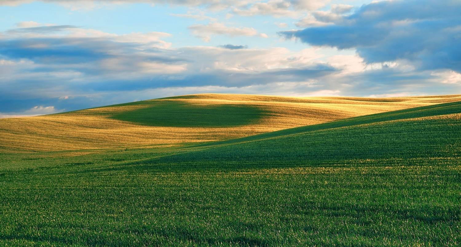 , Станислав