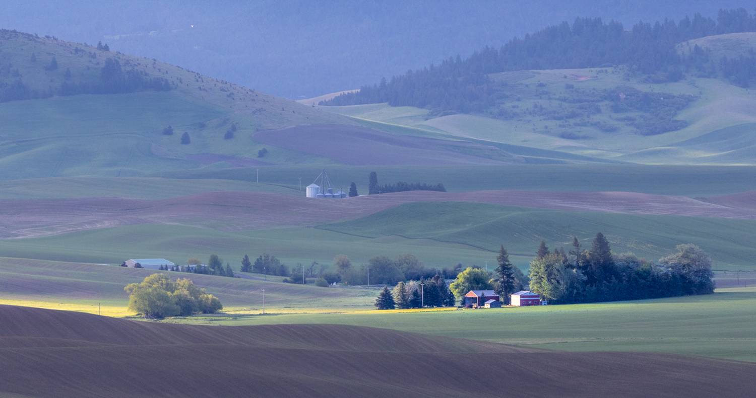 , Лозицкий Александр