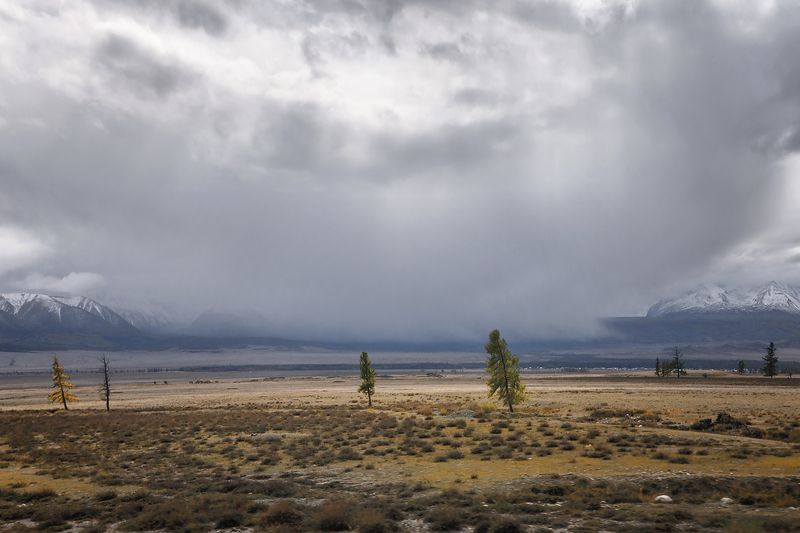 *** фото превью