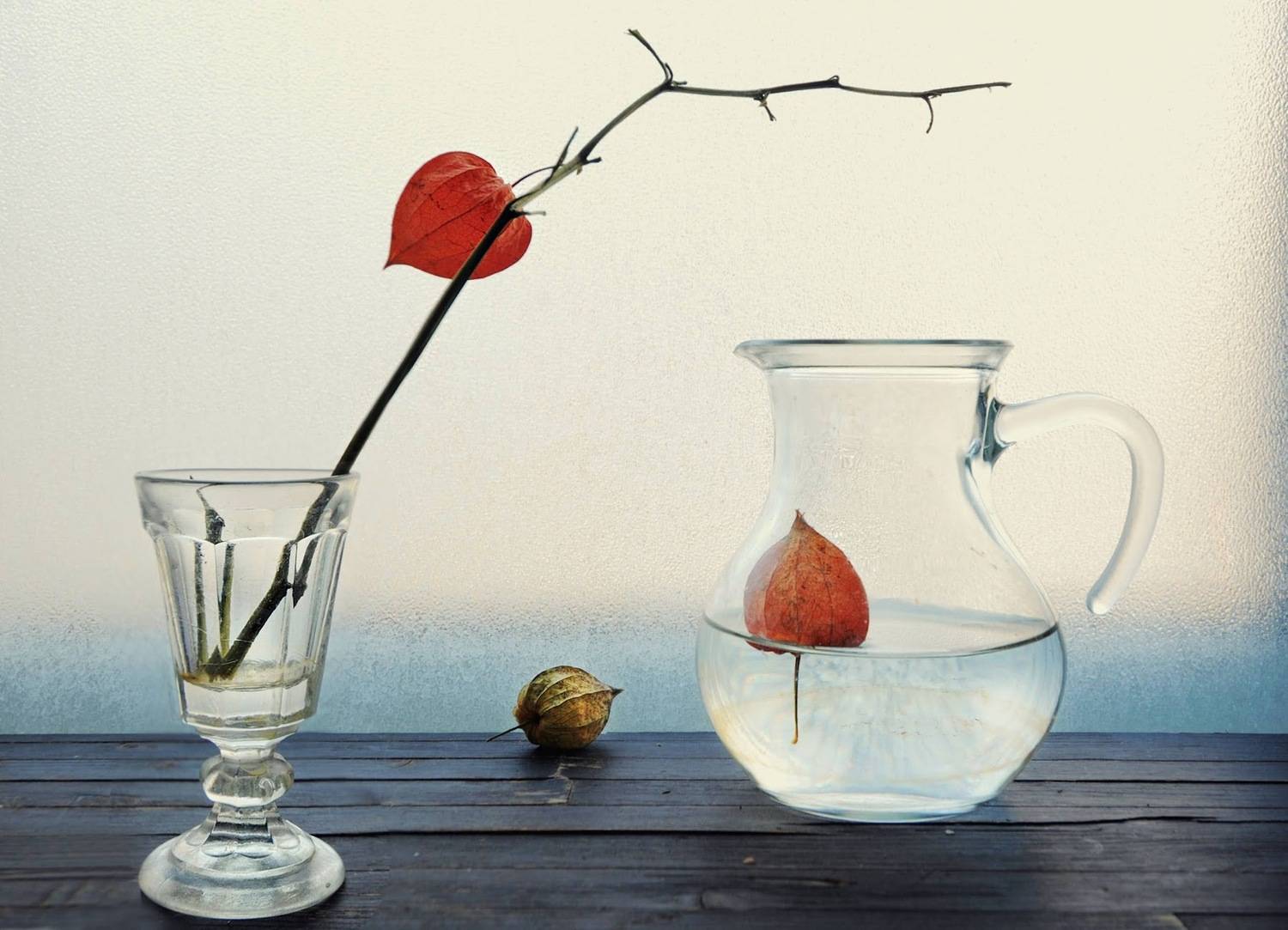 , Ирина Данилова