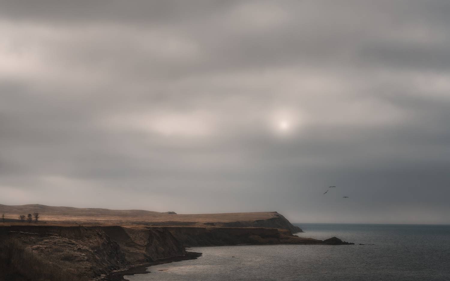 , Олег Дунаев