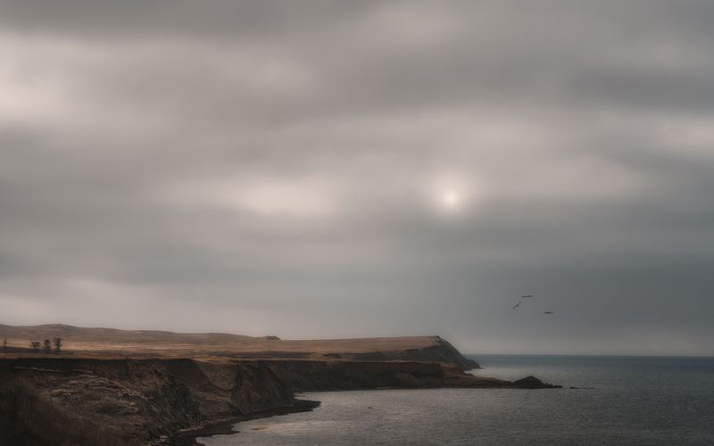 +++ фото превью