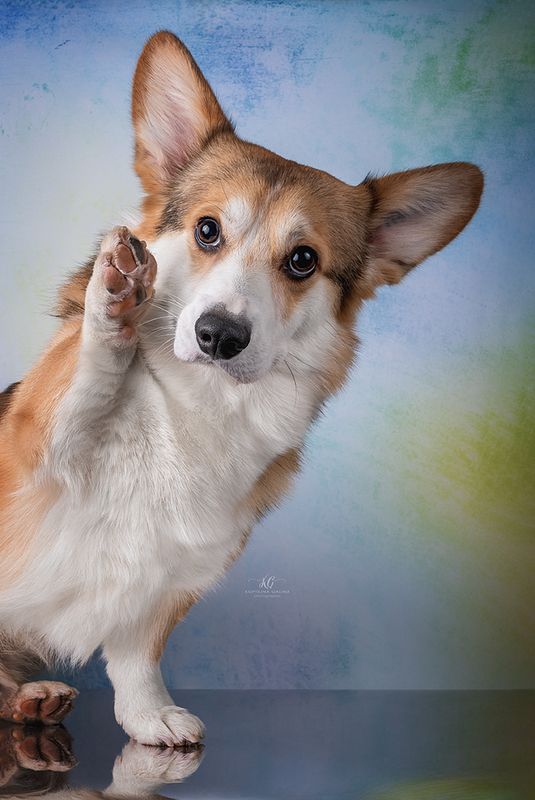 Приииивееет!!! фото превью