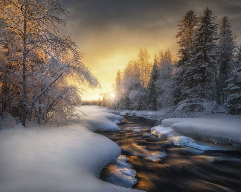 Золото северных рек фото превью