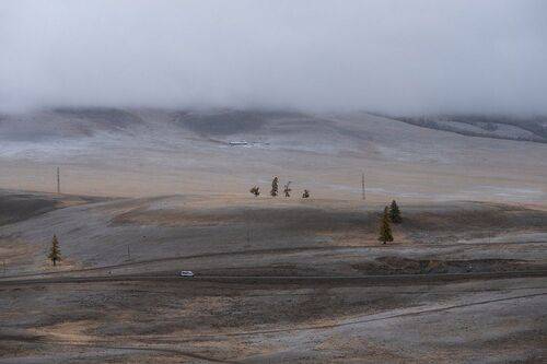 Платина с золотом