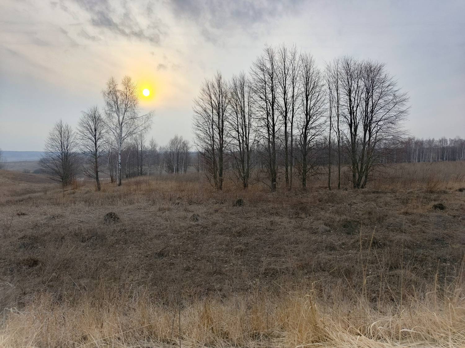 , Светлана Кондрашова