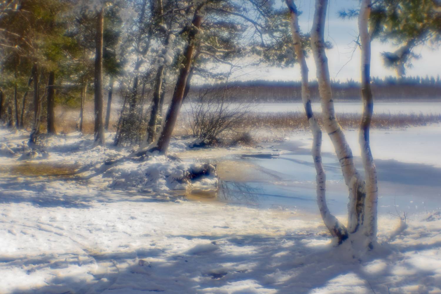 , Юрий Морозов