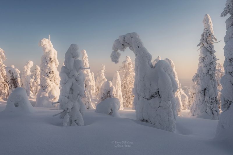 помяненный камень, зима, долина сказок Долина сказок на Помяненном камне фото превью