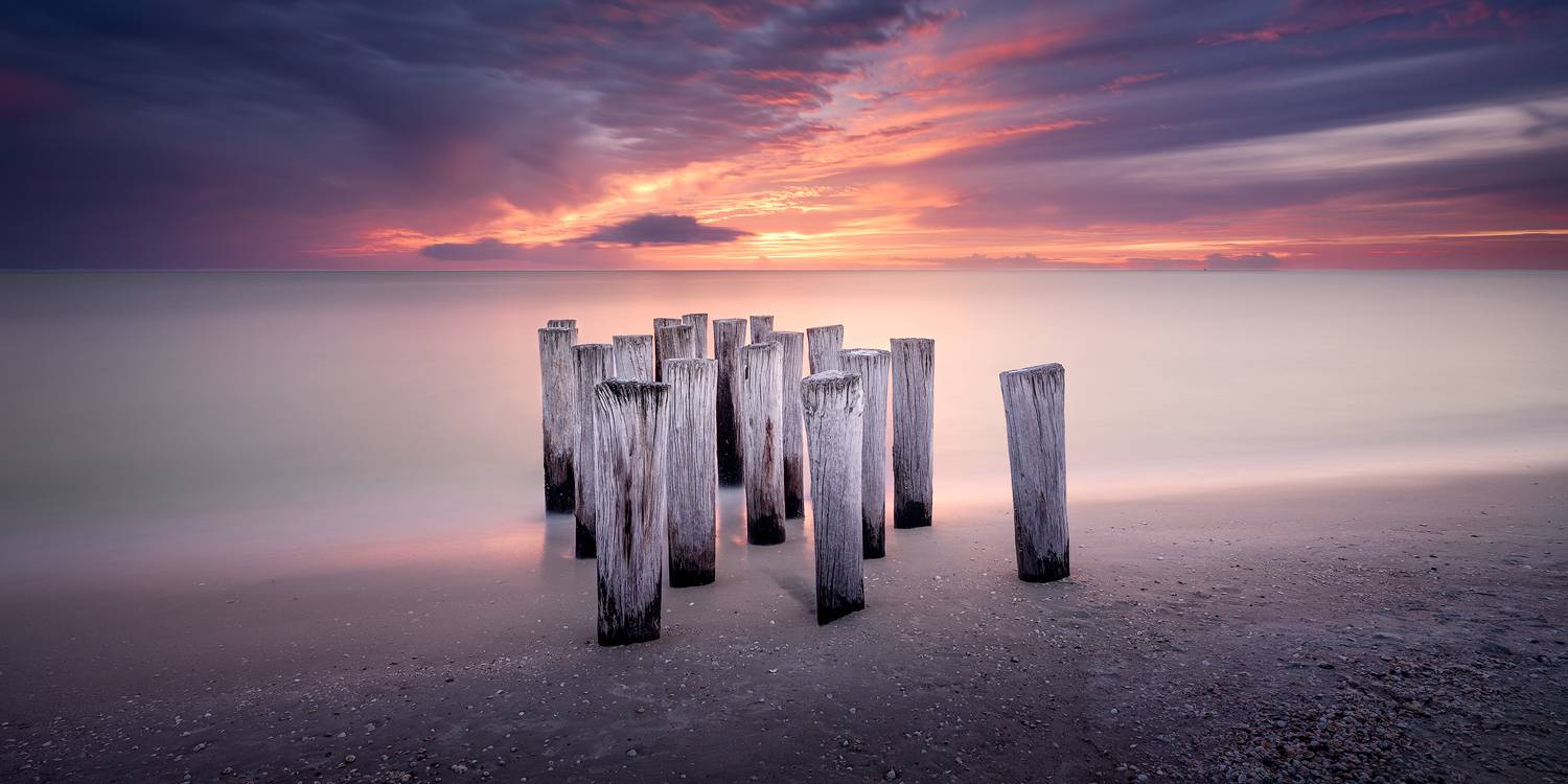 , Alexandru Popovski