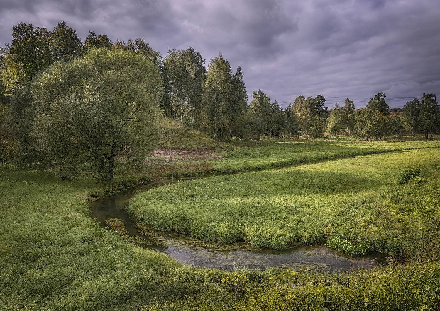 , Сергей Аникин