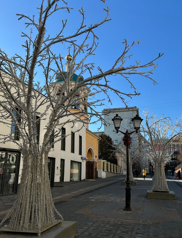 скоро зацветут)) фото превью