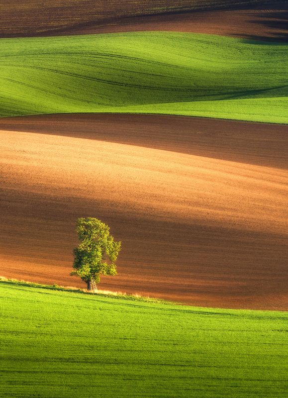 Moravia, tuscany, toscana, bohemia, czech, spring Spring фото превью