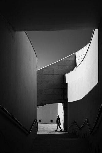 walking in the shadows