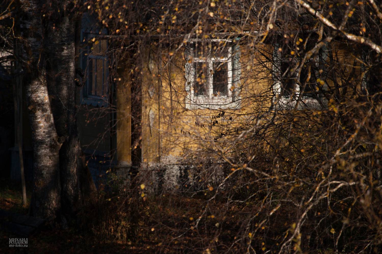 , Розанов Михаил