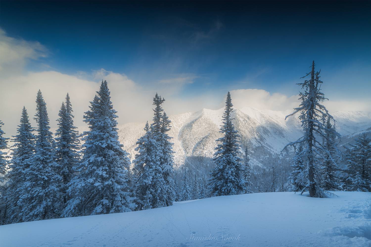 лес, республика бурятия, зима, снег, Станислав Новокрещенов