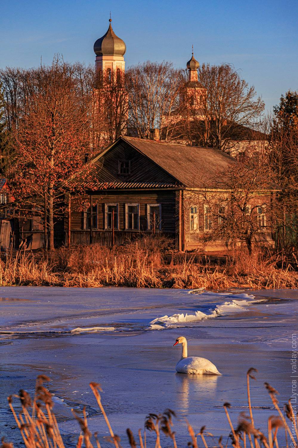 валдай, Тимофей Шутов