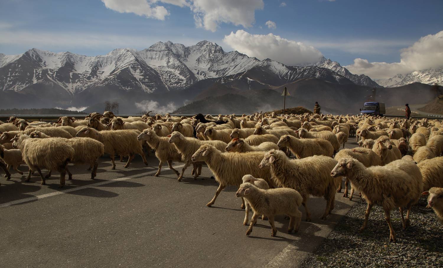 стада дорога горы пейзаж, Мурзинов Виктор