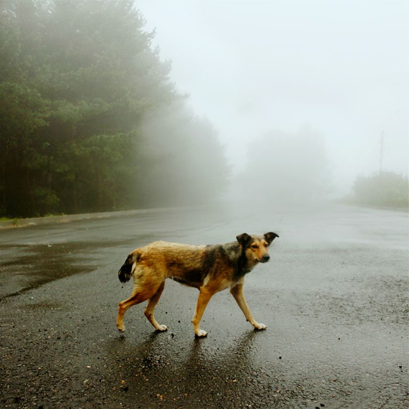 Untitled фото превью