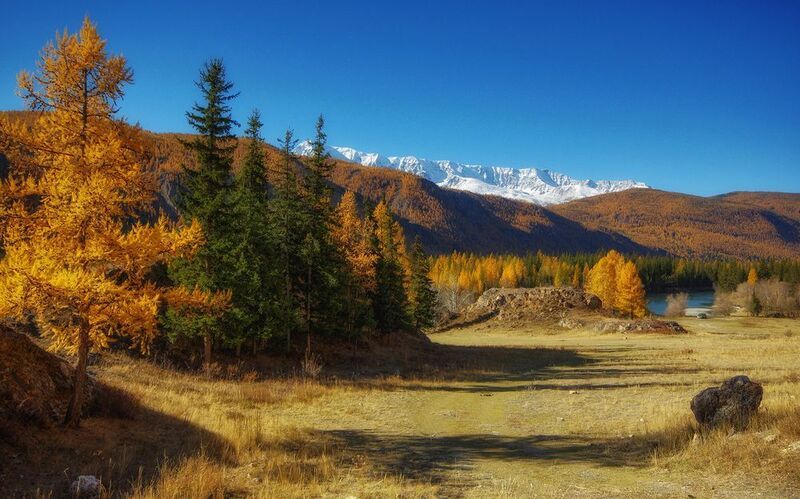 алтай, осень, горы, река, чуя, чуйский_тракт Разноцветная осень фото превью