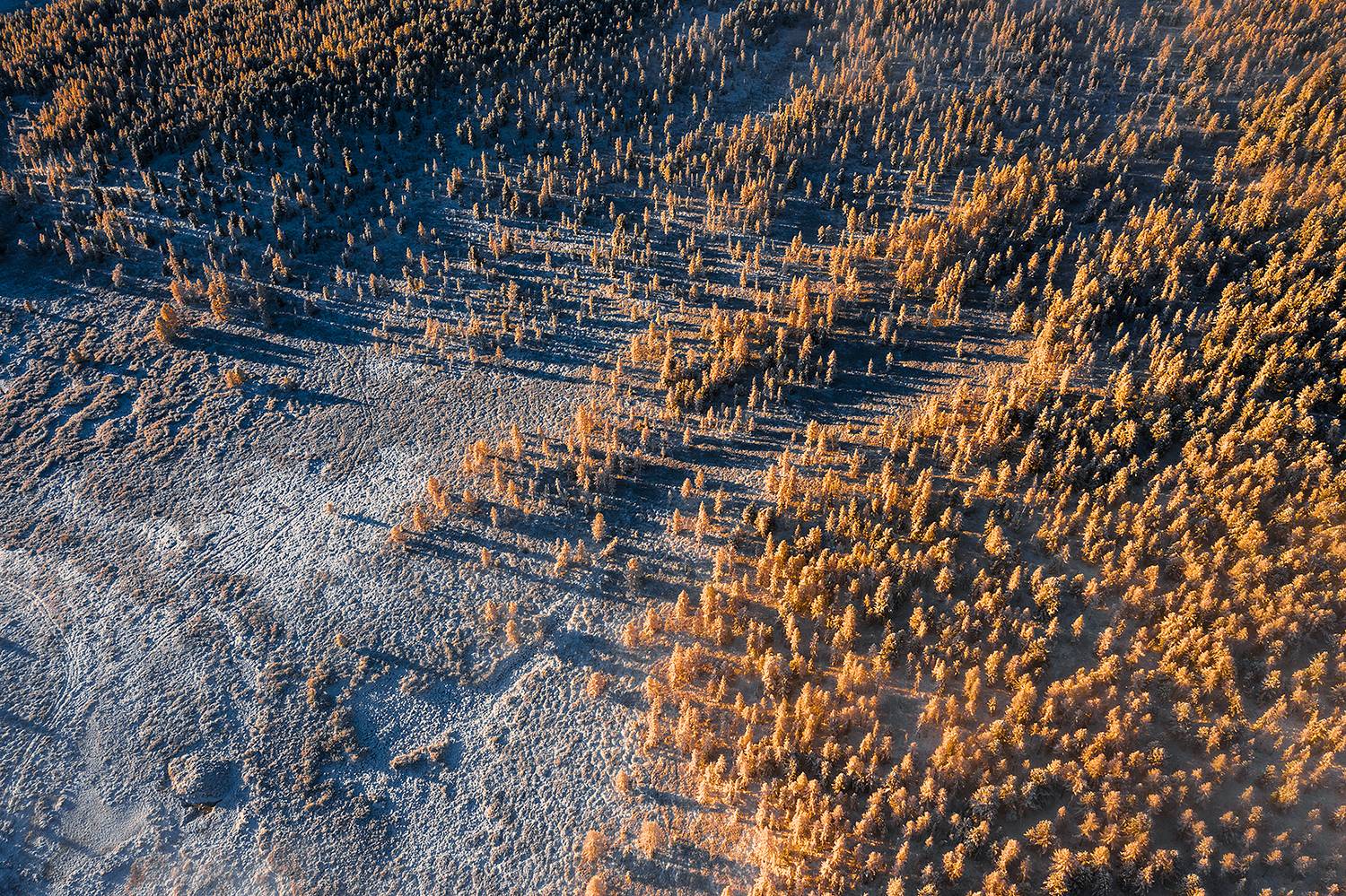 , Александр Артамонов