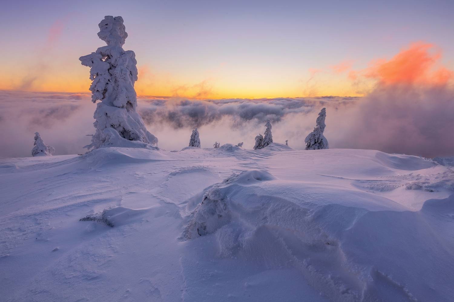 landscape, Petr Fiala