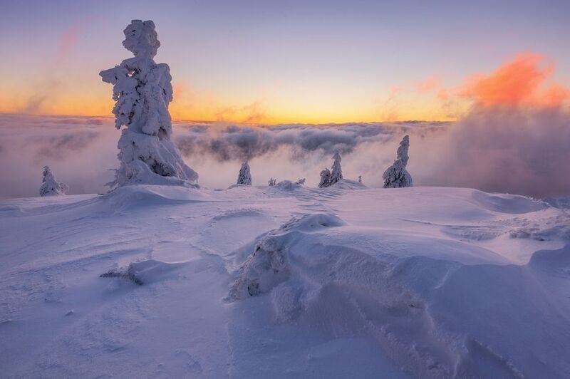 landscape Zimní ráno na hřebeni (Jeseníky - Červená hora) фото превью