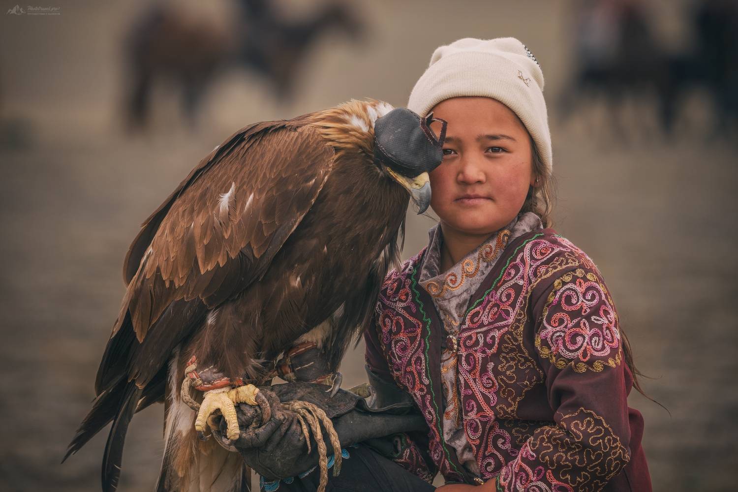 алтай, монголия, кочевники, монгольский алтай, фототур на алтай и в монголию, фототур на алтай, golden eagle festival, фототур в монголию, фототуры 2025, фототуры 2025, phototravel.pro, Влад Соколовский