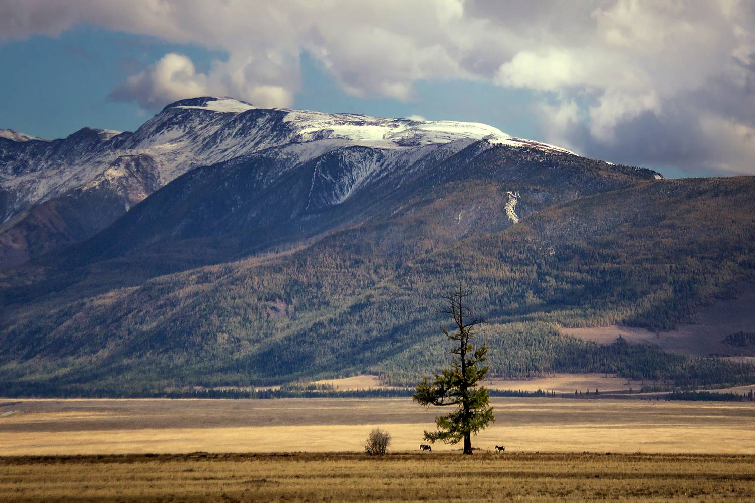 , Юдинских Марина