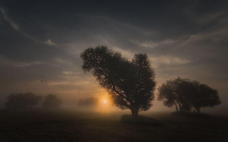 +++ фото превью