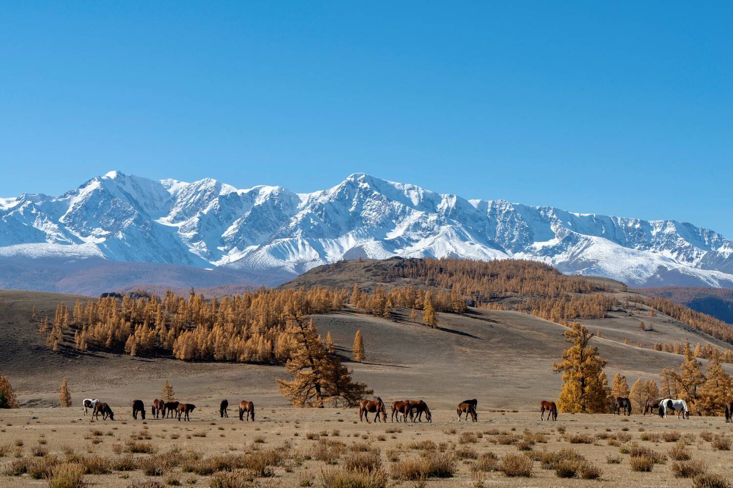 , Кузнецов Андрей