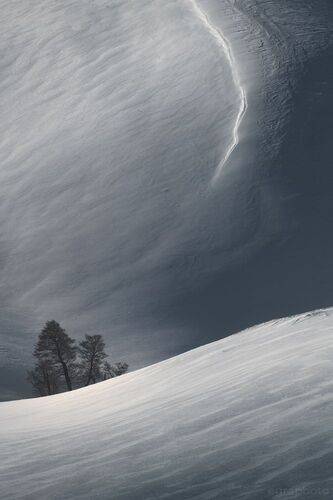 Кривые Долгих