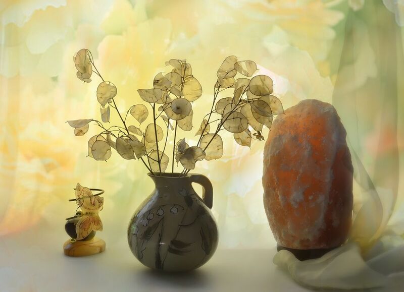 Лунария фото превью