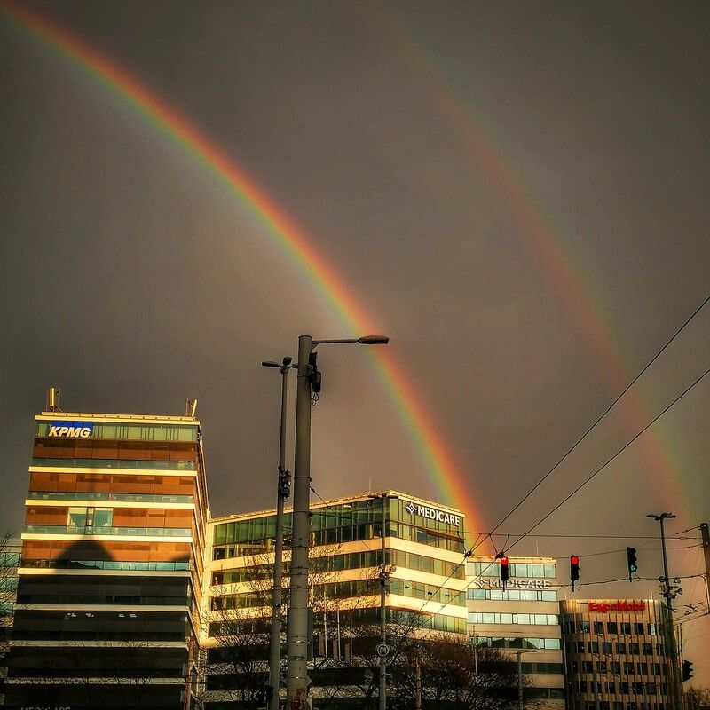 City rainbow фото превью