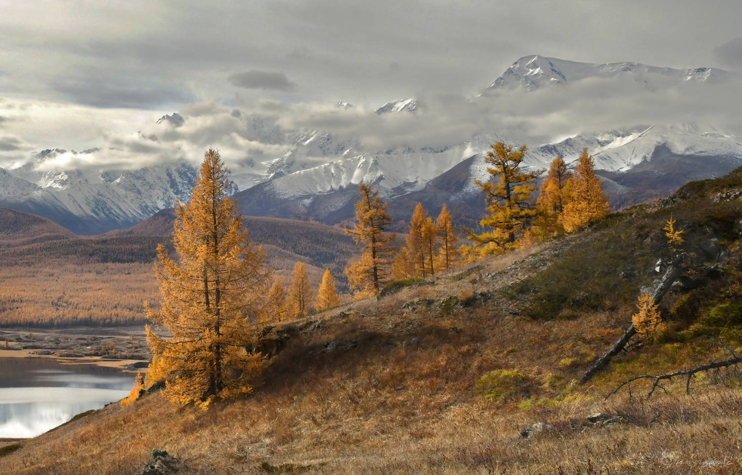 , Крат Светлана